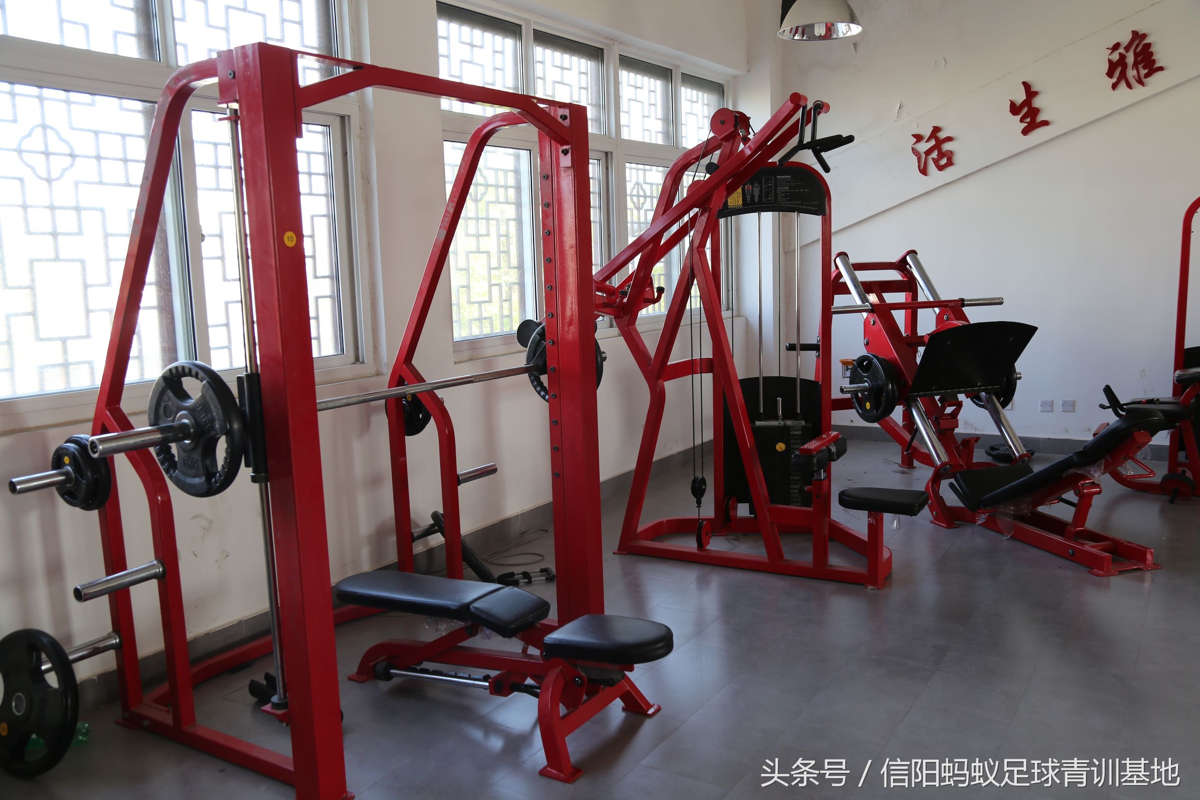 信阳蚂蚁足球排位赛,蚂蚁足球青训课堂