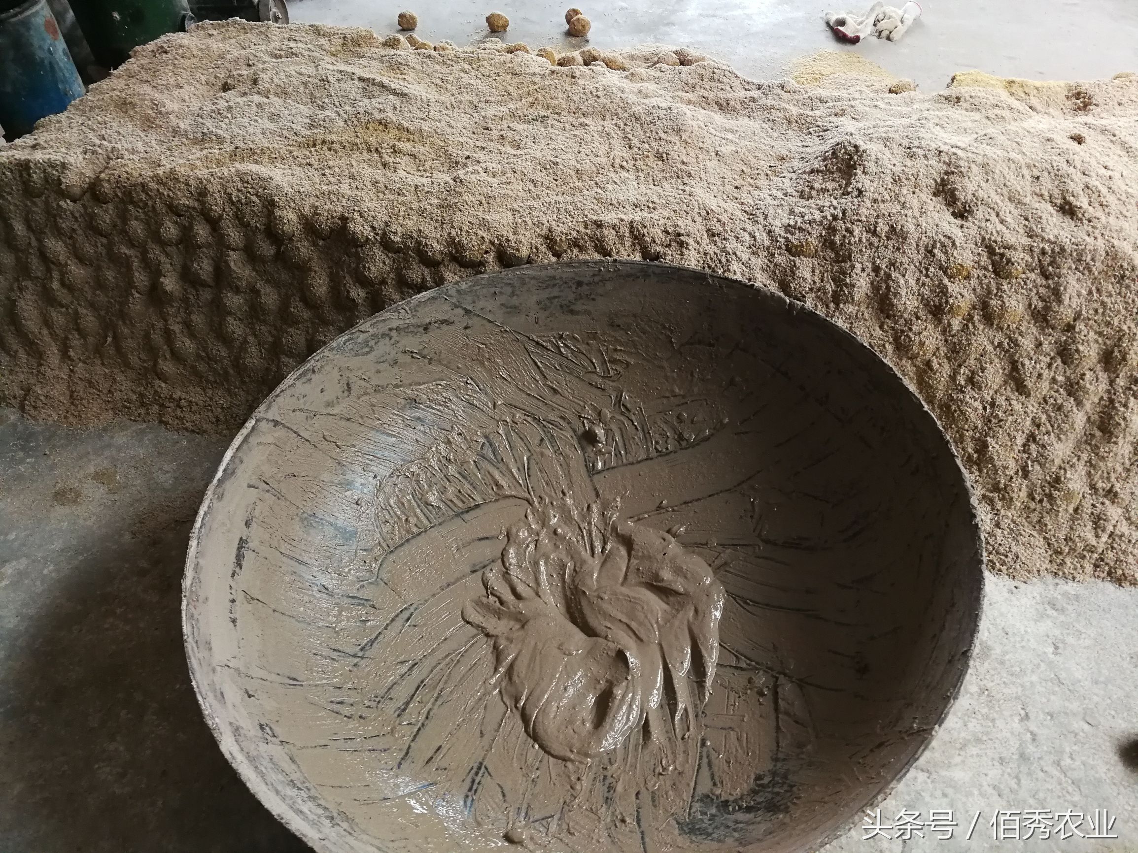 变蛋五毛钱,烧变蛋治拉肚子吗