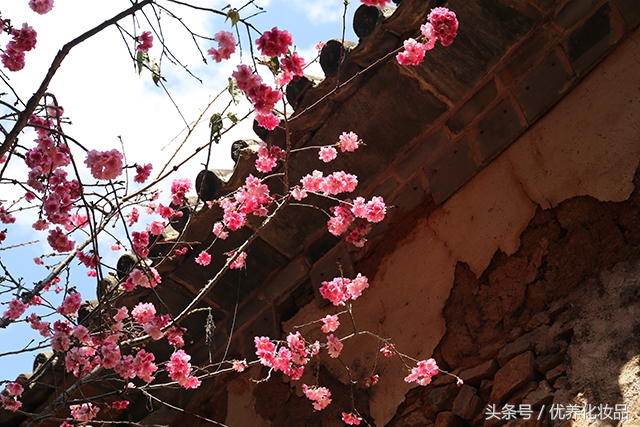 有诗和远方的地方,有诗和远方的故乡