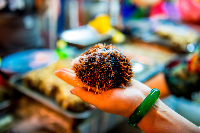 去三亚感受碧海蓝天,享受椰风海韵三亚度假指南精选