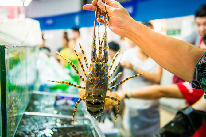 去三亚感受碧海蓝天,享受椰风海韵三亚度假指南精选