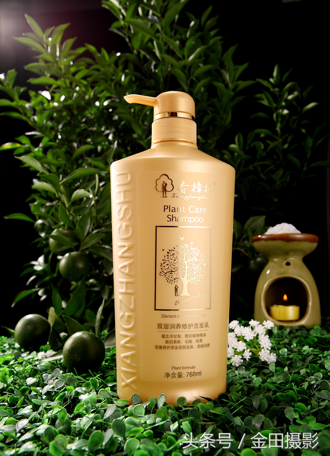 金田旅行摄影,金田摄影证件照