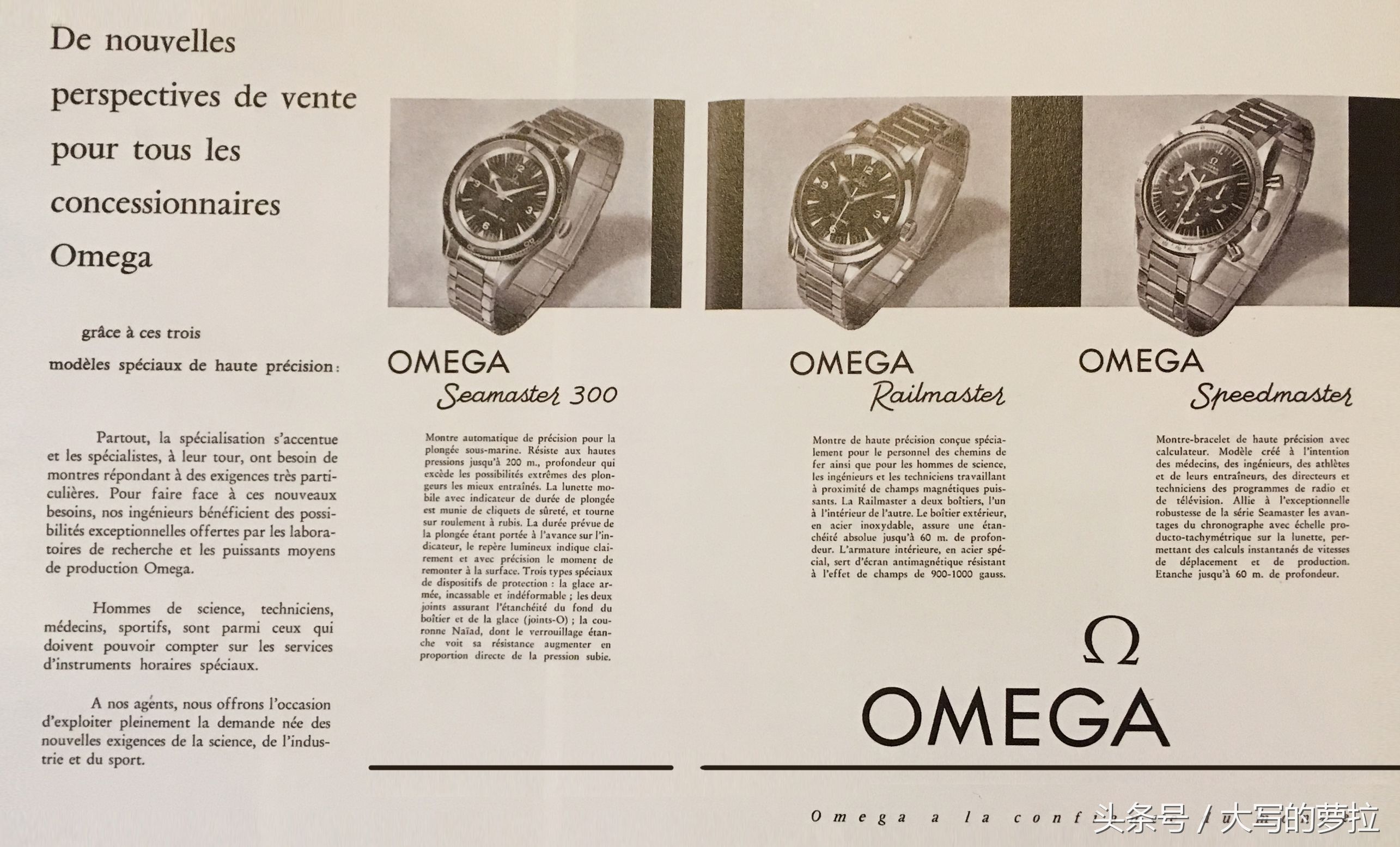 为何说三大圣杯构成现在的欧米茄