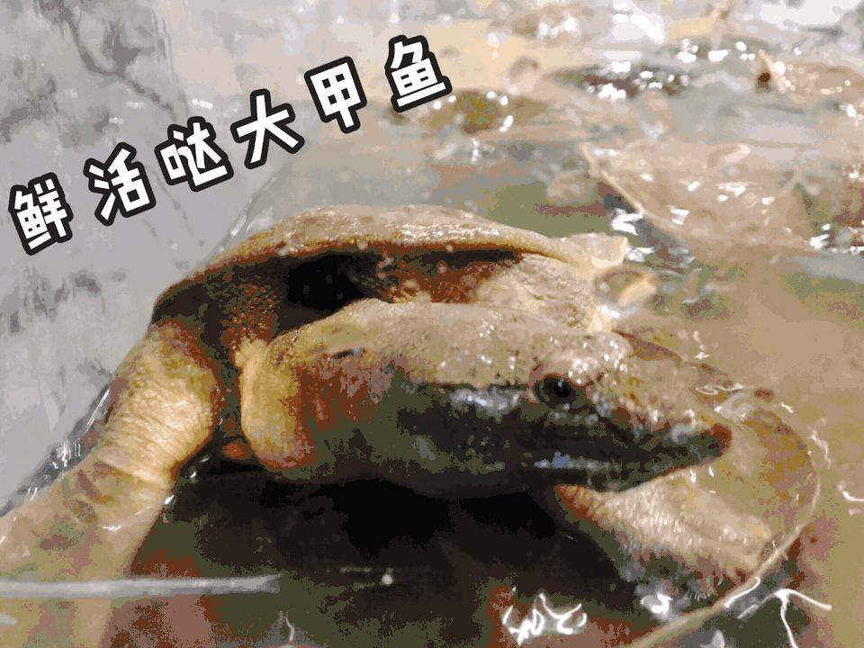 靠着这道菜这家店火了二十年,这个店只专注做一道菜却火了5年