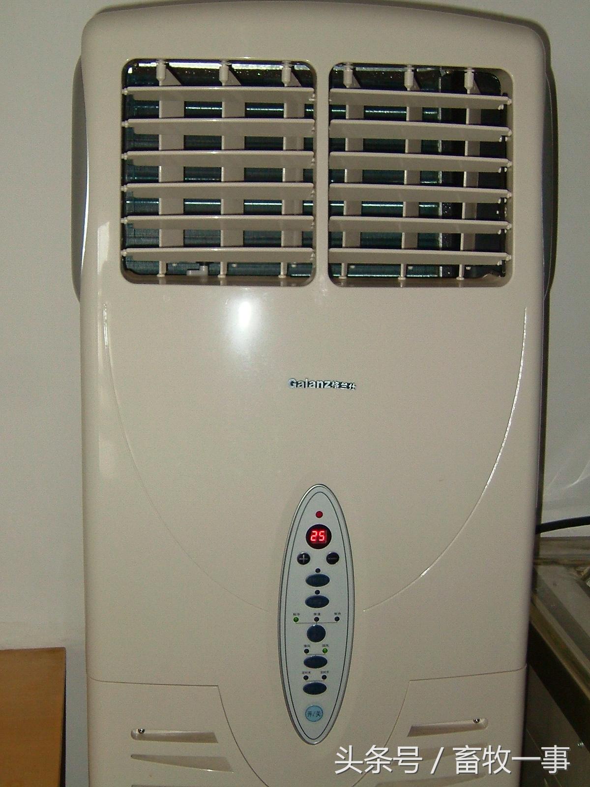 养猪怎样提高人工授精的成功率,养猪新模式猪舍建造