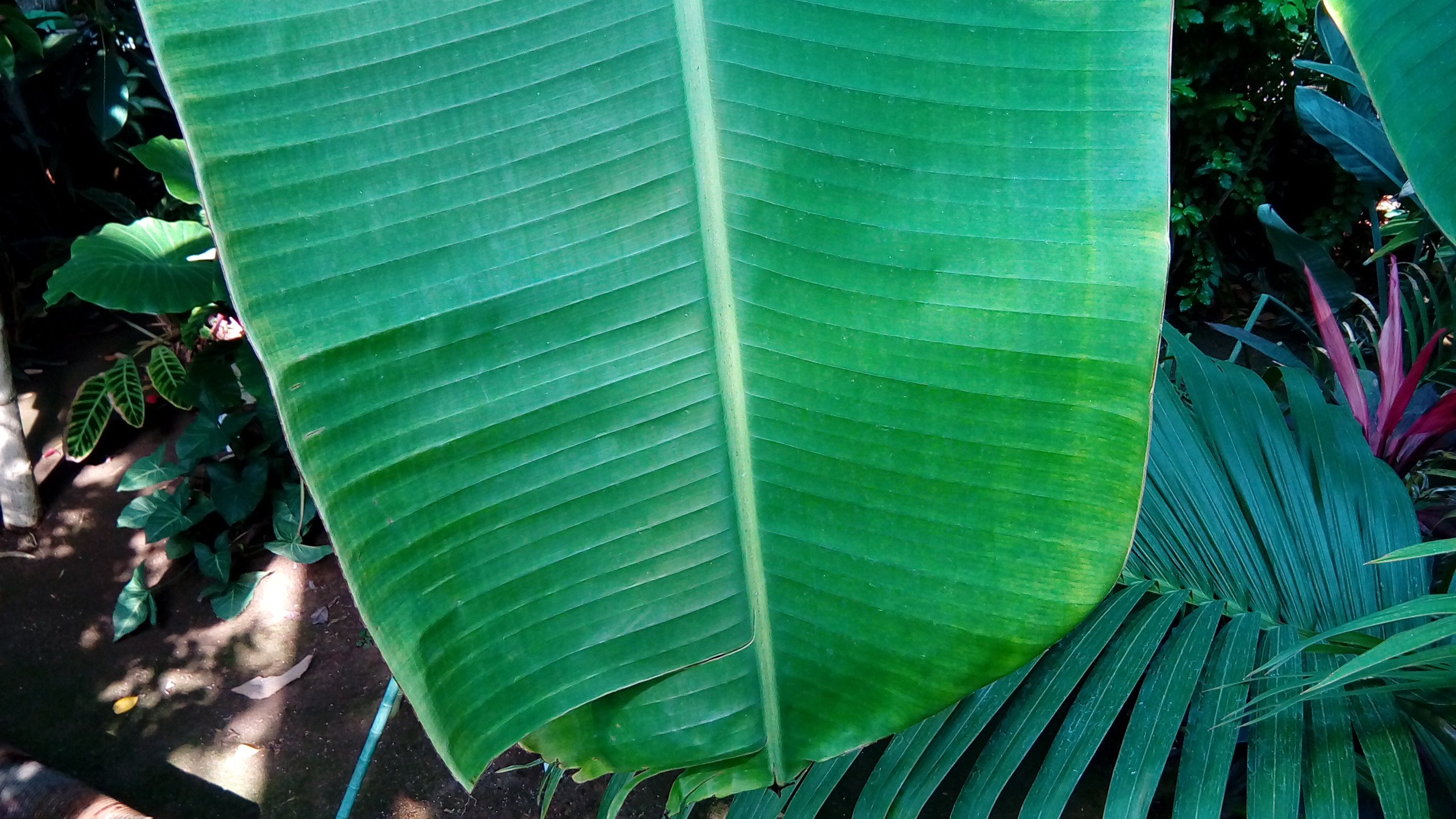 华硕z500平板评测视频,华硕平板z8s评测
