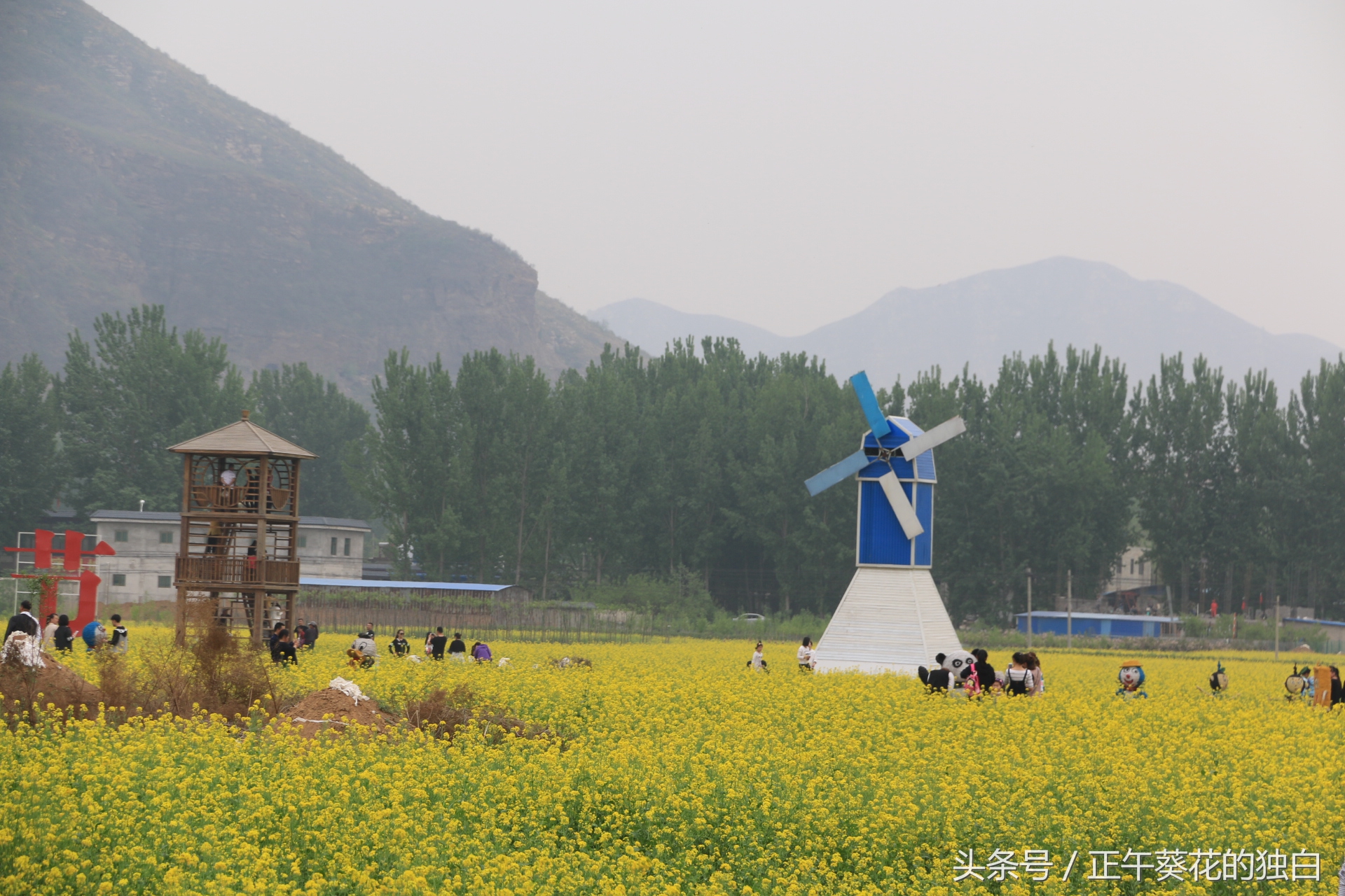 狼牙山田园花海入口,狼牙山万亩花田附近景点