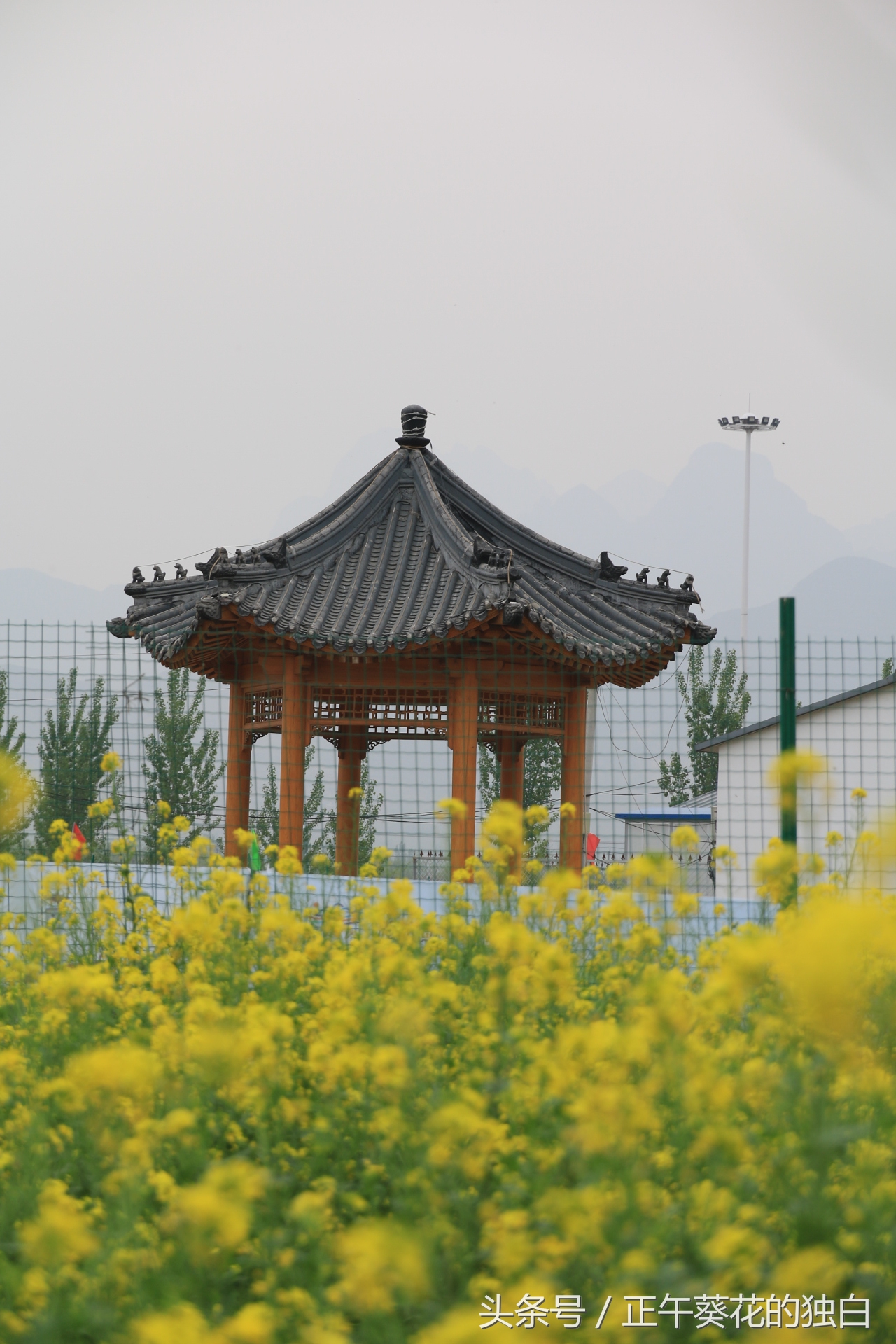 狼牙山田园花海入口,狼牙山万亩花田附近景点
