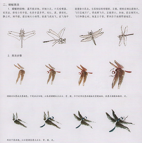 工笔花鸟国画背景的画法,中国国画几种虫儿的画法