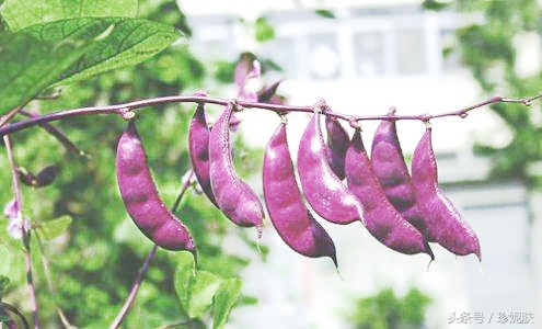 久坐电脑前脸部皮肤差怎么办,久坐办公室怎么调理