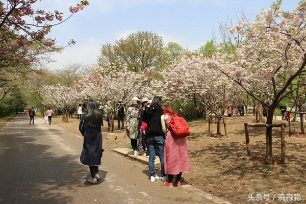 游无锡美景,游无锡太湖美景