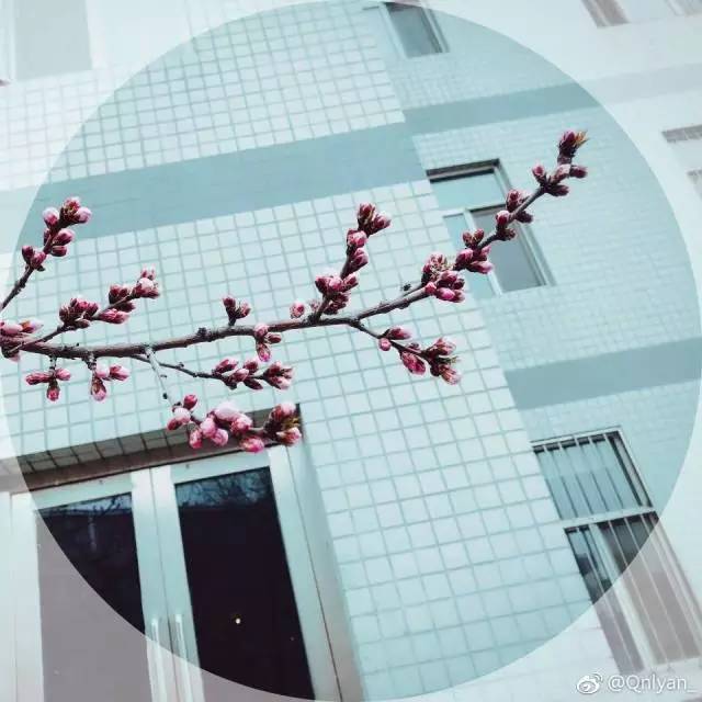 林志玲360无死角是真的美,全球最美360无死角的美女