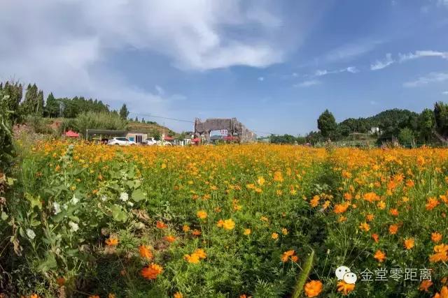 金堂云顶山一日游攻略,金堂旅游攻略一日游价格