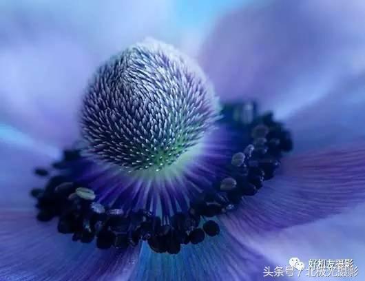 快门速度快慢的区别,快门速度多少可以有运动模糊