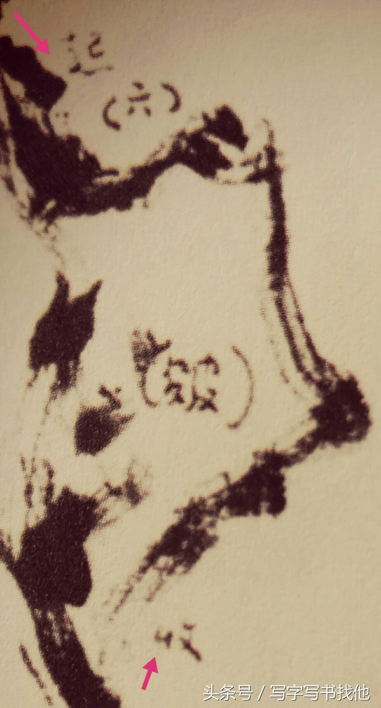 湖石的画法和技巧,工笔湖石画法