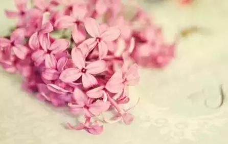 史上最完整的芦荟胶使用大全,正在用芦荟胶的你还不点进来看下