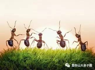 惊掉你下巴的“变态”虫生！盘点动物界那些长着长着就变形的主儿