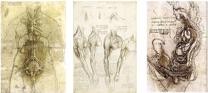 古今中外绘画欣赏,解剖全国绘画优秀作品