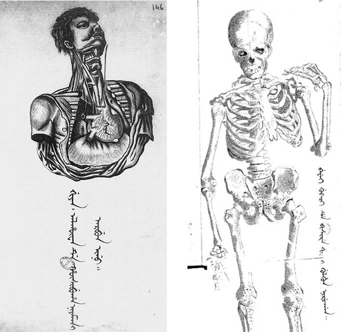 古今中外绘画欣赏,解剖全国绘画优秀作品
