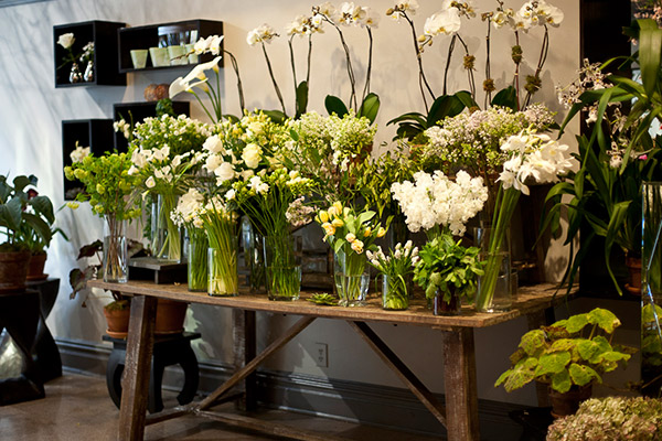 全球前十艺术学校排行榜,全国十大花艺学校排行榜