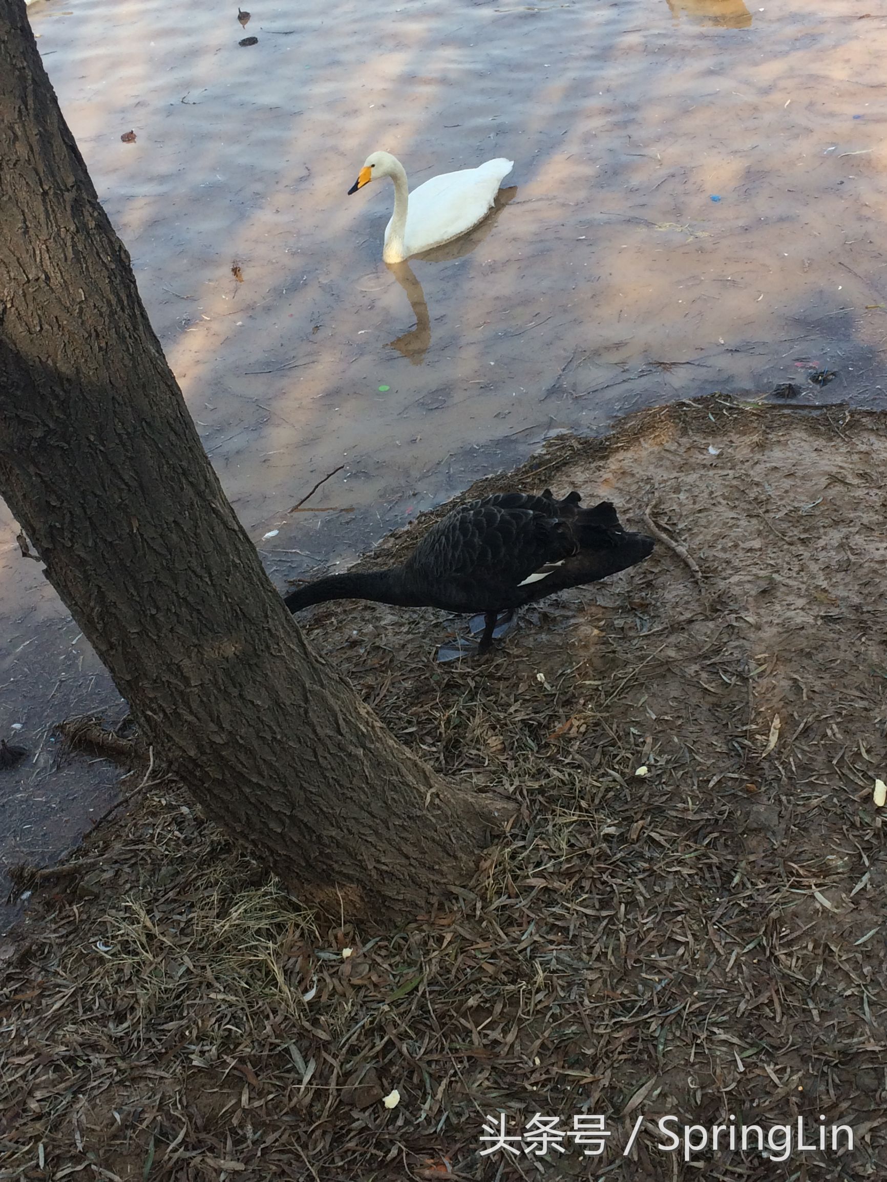 三门峡豫西大峡谷旅游攻略,豫西三门峡全景图