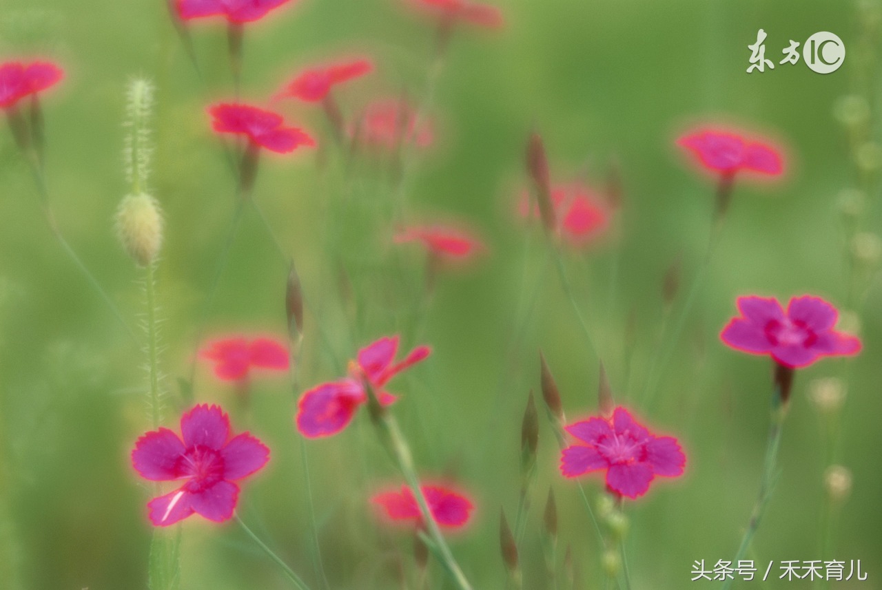 四五月出生虎宝宝名字,5月出生好听的宝宝名字大全