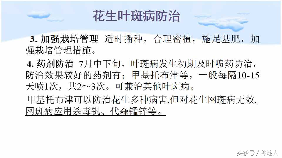 已经开始种花生了怎么种,马上要种花生了