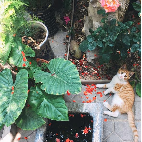 春季手机摄影大赛,摄影有哪些大赛