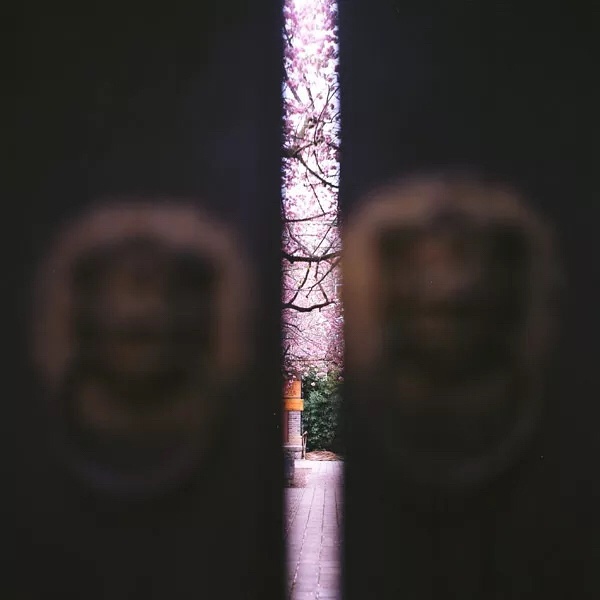 春季手机摄影大赛,摄影有哪些大赛