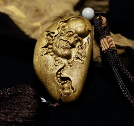 楠木家具金丝楠,金丝楠的楠木苗