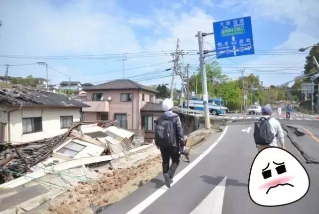 熊本县熊本熊,2019熊本熊到访城市