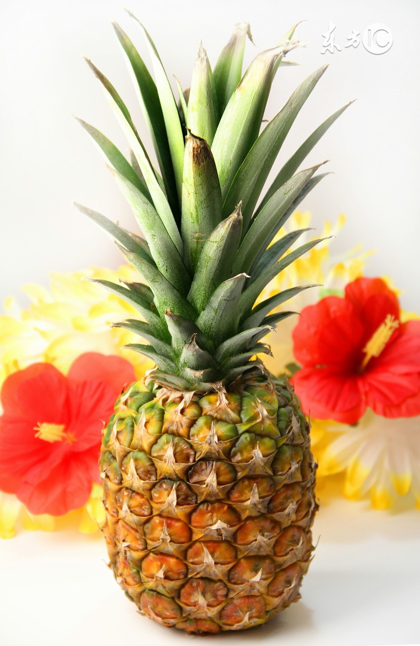 彼得罗夫青瓜啫喱面膜怎么样,彼得罗夫青瓜面膜测评