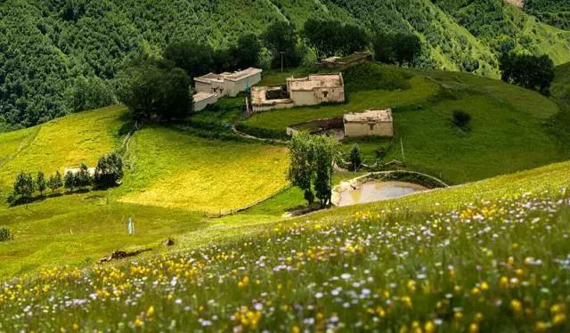 四川不可不去的十个景区,四川湿地风景区