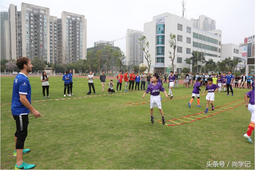 欧足联教练各级证书,欧足联a级教练是谁