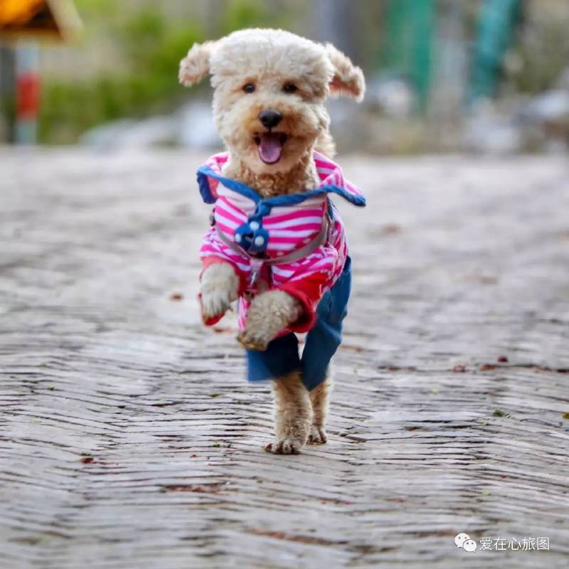 昌平印象山庄风景图,北京昌平美景山庄