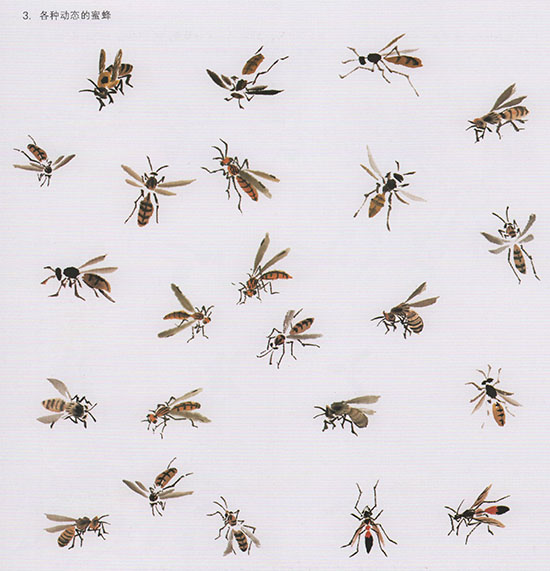 工笔花鸟国画背景的画法,中国国画几种虫儿的画法
