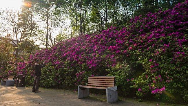 峨眉山一日观金顶日出吃住行攻略,峨眉山吃住行全攻略