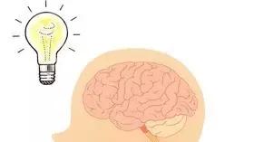 鱼油和藻油降血脂,宝宝长高食用油