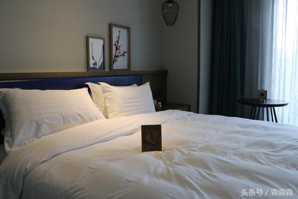 游无锡美景,游无锡太湖美景