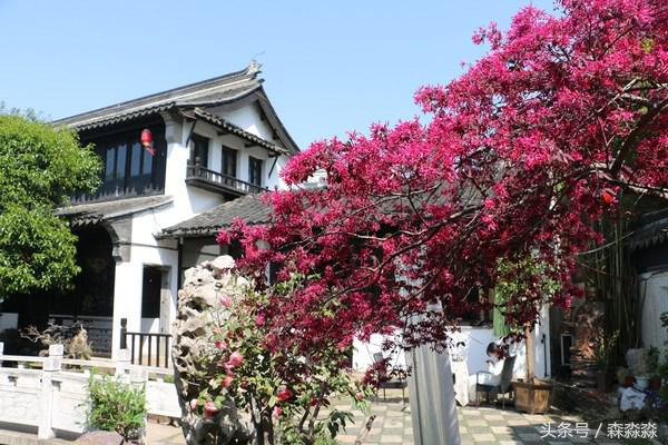 游无锡美景,游无锡太湖美景