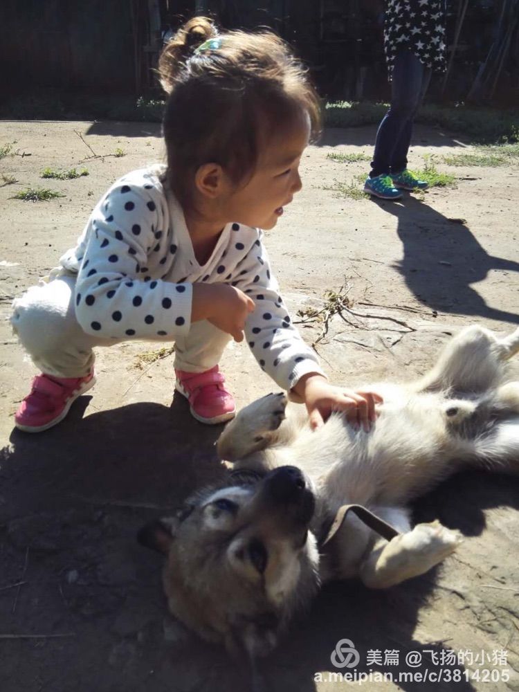 2018贝加尔湖自驾游,贝加尔湖畔自驾游全集