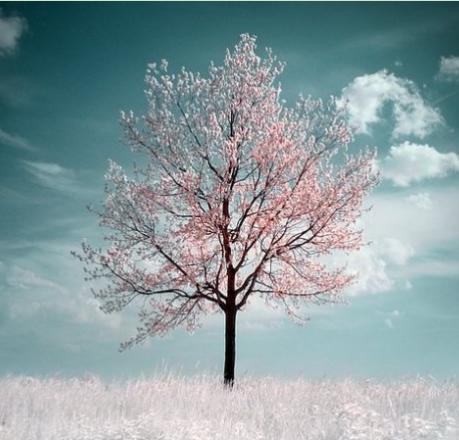 史上最完整的芦荟胶使用大全,正在用芦荟胶的你还不点进来看下