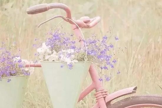 史上最完整的芦荟胶使用大全,正在用芦荟胶的你还不点进来看下