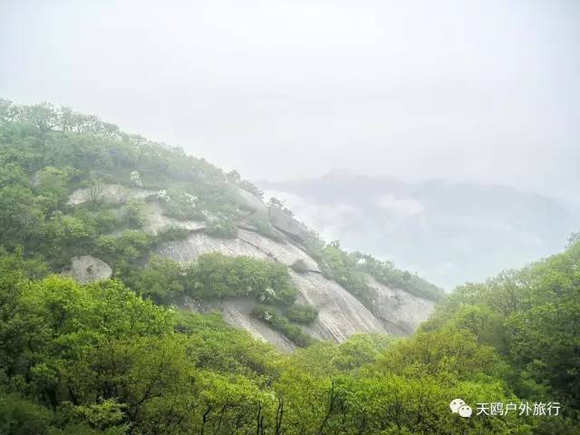 踏春出游来洛阳,踏春周末出游