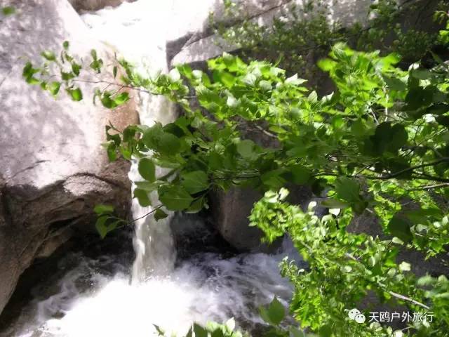 踏春出游来洛阳,踏春周末出游