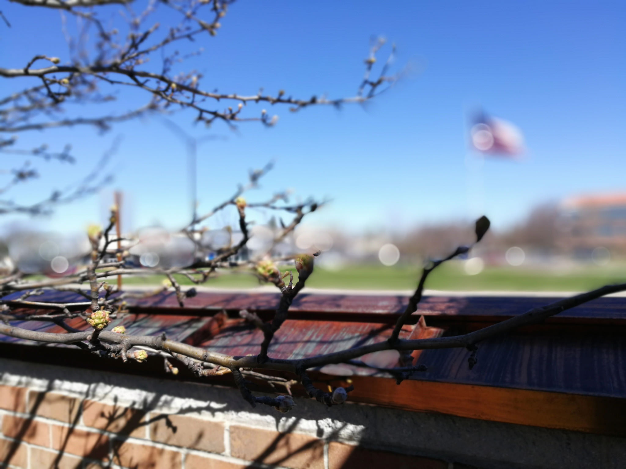 买荣耀v9手机多少钱,荣耀v9升级鸿蒙系统后评测