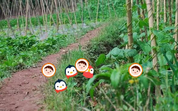 毒蛇来了该怎么保护自己,春天来了蛇怎么样了