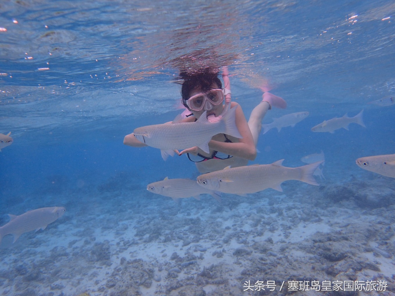 扶老携幼塞班行，总结海岛旅游的注意事项