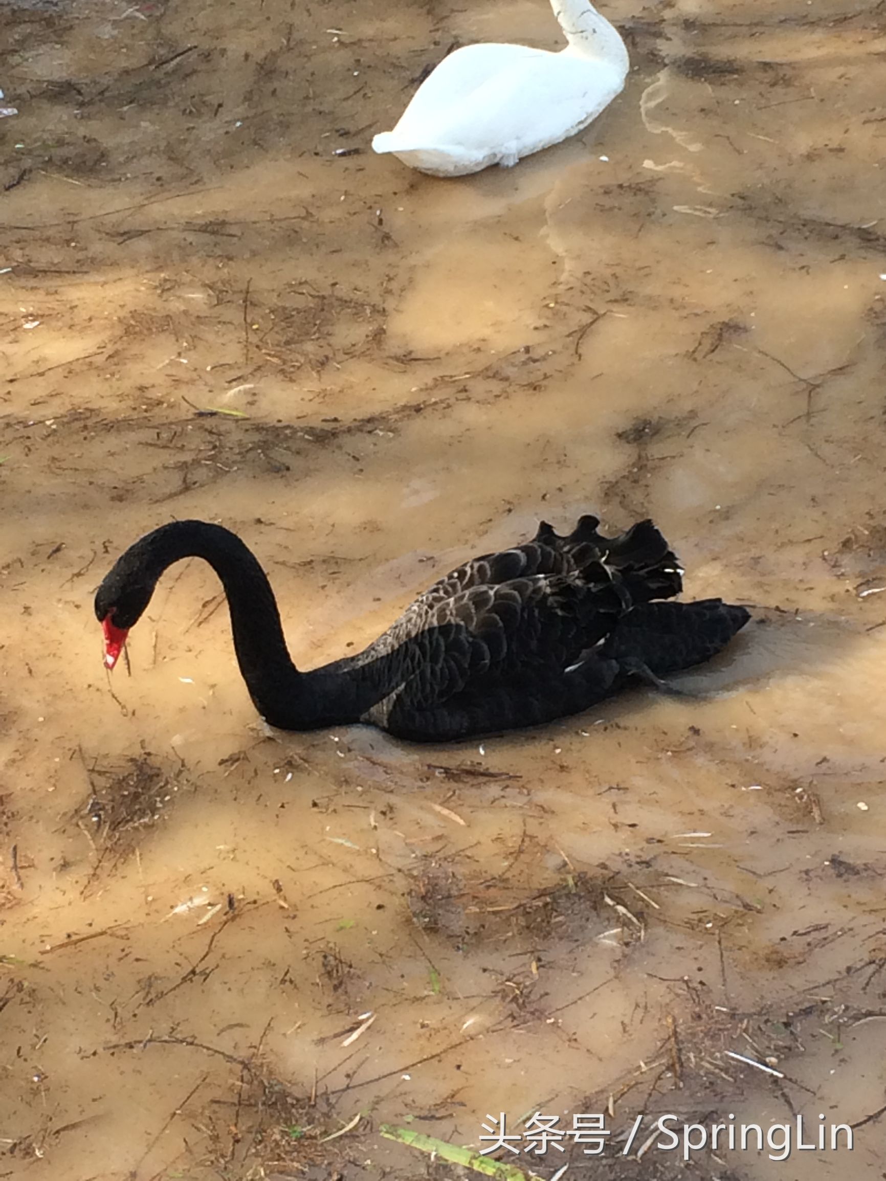 三门峡豫西大峡谷旅游攻略,豫西三门峡全景图