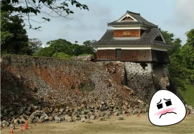 熊本县熊本熊,2019熊本熊到访城市